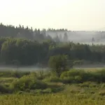 Апартаменты Olsinska Stodola